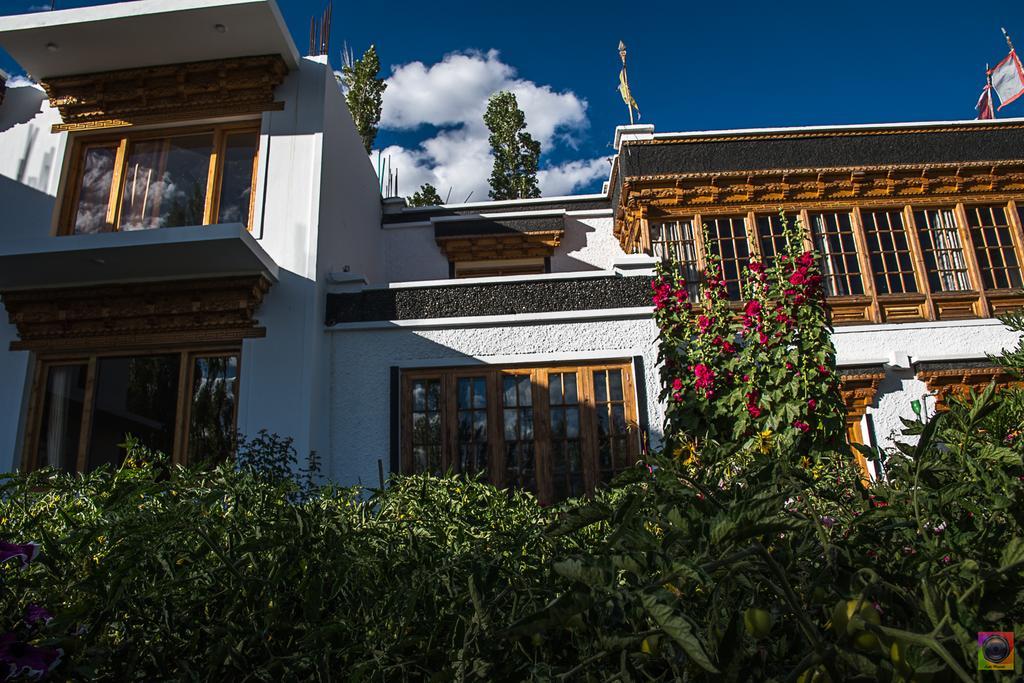 Shaolin Ladakh Hotel Leh Exterior photo